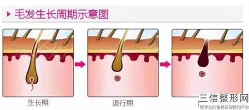 2023年蚌埠市激光去腋毛正規的整形醫院有哪些-蚌埠欣悅整形醫療美容位列五強曝光