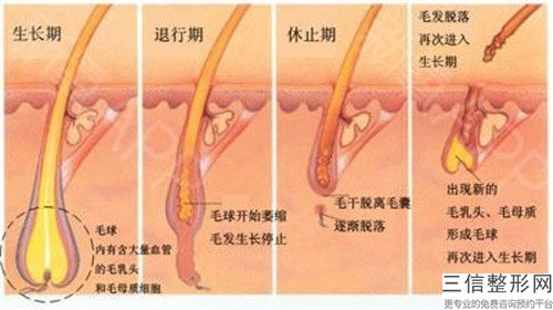 蘇州市整形毛發(fā)移植推薦這四個(gè)醫(yī)生-白立明醫(yī)生評(píng)價(jià)高