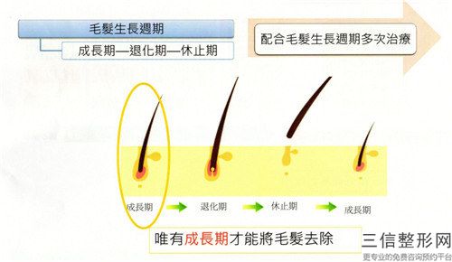 亳州市脫大腿毛排名榜前八-前十發布-排名靠前亳州市整形醫院